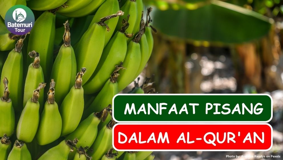 8 Khasiat Buah Pisang, Buah Surga dalam Surah Al-Waqiah